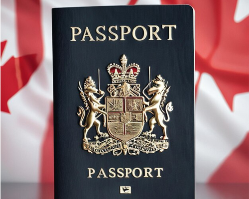 Immigration Lawyer St Catharines