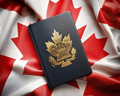 Immigration Lawyer Mississauga